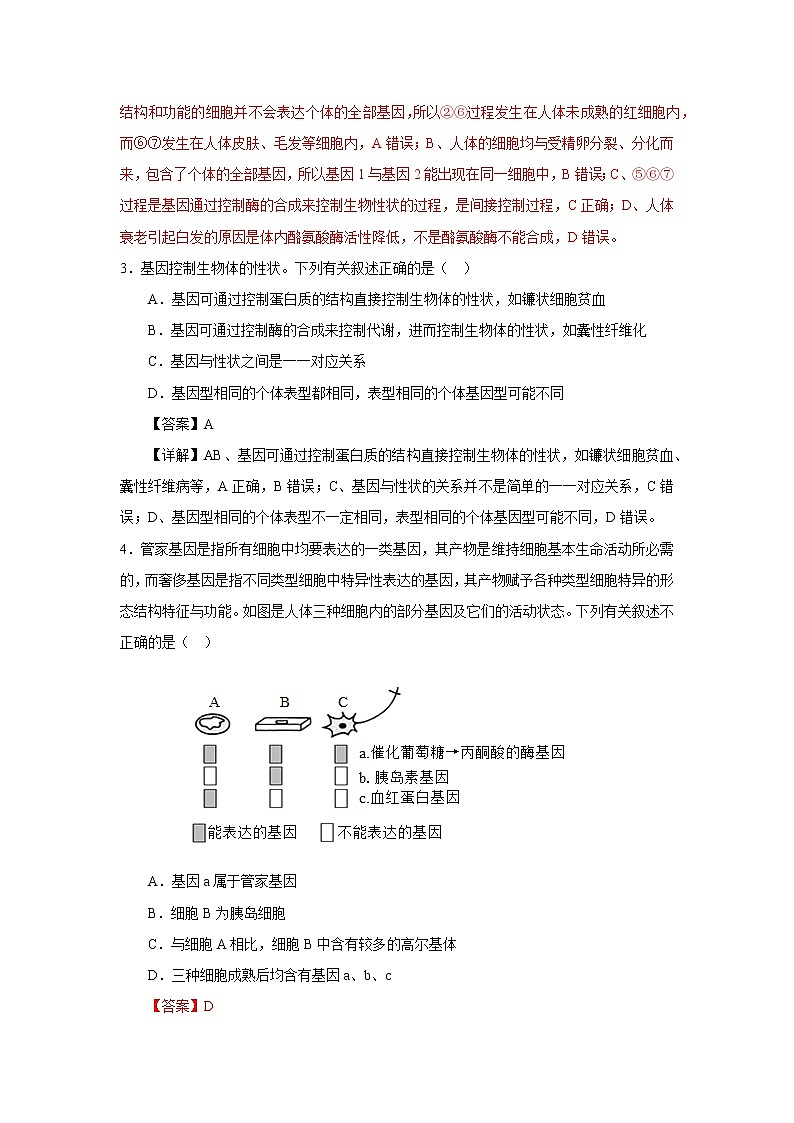 第二节  基因表达与性状的关系（解析版）第2页