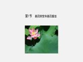 第一节  基因突变和基因重组课件PPT