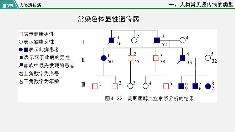 第三节  人类遗传病课件PPT07