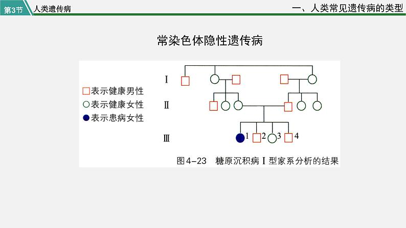 第三节  人类遗传病课件PPT08