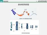 第二节  染色体变异课件PPT