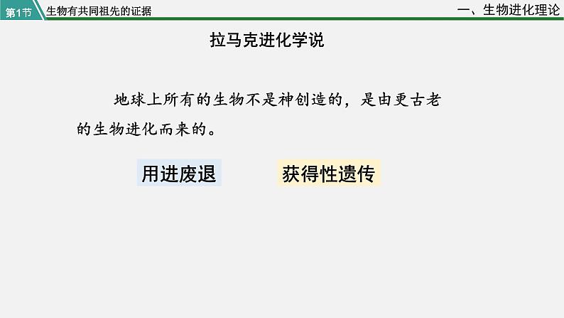 第一节  生物有共同祖先的证据课件PPT第5页