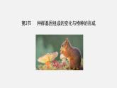第三节  种群基因组成的变化与物种的形成课件PPT