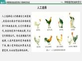 第三节  种群基因组成的变化与物种的形成课件PPT