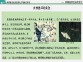 第三节  种群基因组成的变化与物种的形成课件PPT