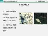 第三节  种群基因组成的变化与物种的形成课件PPT