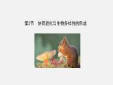 第四节  协同进化与生物多样性的形成课件PPT