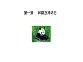 第1节   种群的数量特征课件PPT