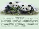 第1节   种群的数量特征课件PPT