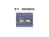 第1节   种群的数量特征课件PPT