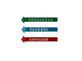 第1节   种群的数量特征课件PPT