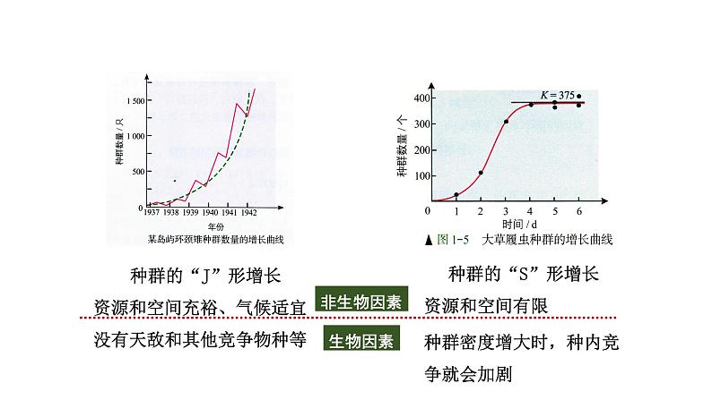 第3节  影响种群数量变化的因素课件PPT第4页