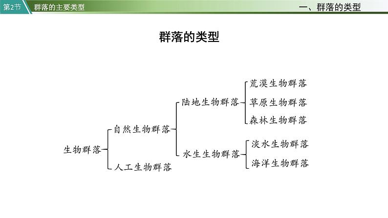 第2节   群落的主要类型课件PPT08