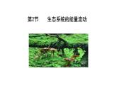 第2节   生态系统的能量流动课件PPT