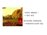 第3节  生态系统的物质循环课件PPT
