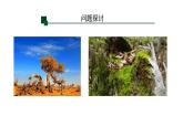 第3节  生态系统的物质循环课件PPT