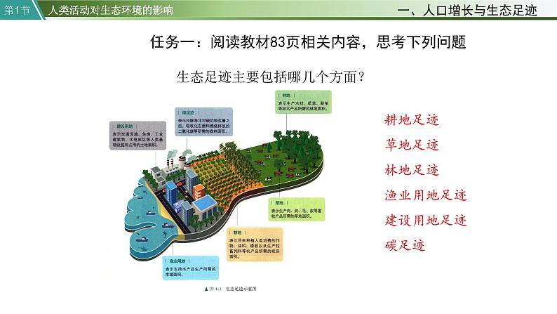 第1节  人类活动对生态环境的影响课件PPT06
