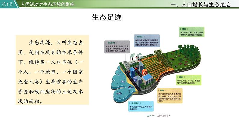 第1节  人类活动对生态环境的影响课件PPT07