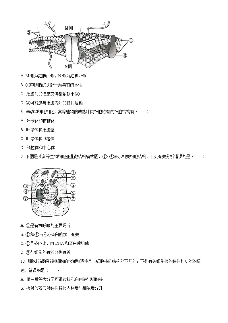 2023榆林高一上学期期末生物试题含答案第3页