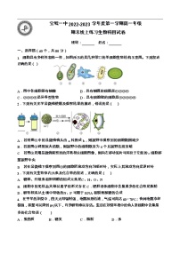 2023天津宝坻区一中高一上学期线上期末考试生物试题无答案