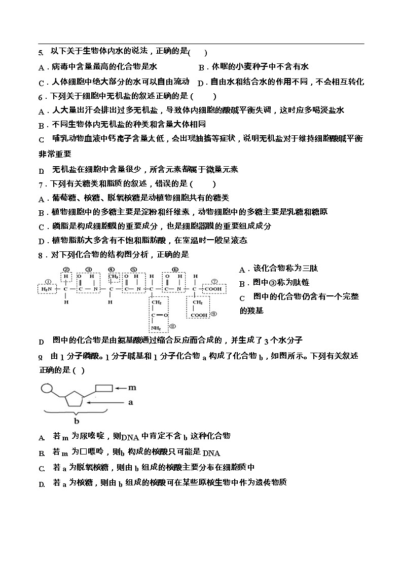 2023天津宝坻区一中高一上学期线上期末考试生物试题无答案第2页