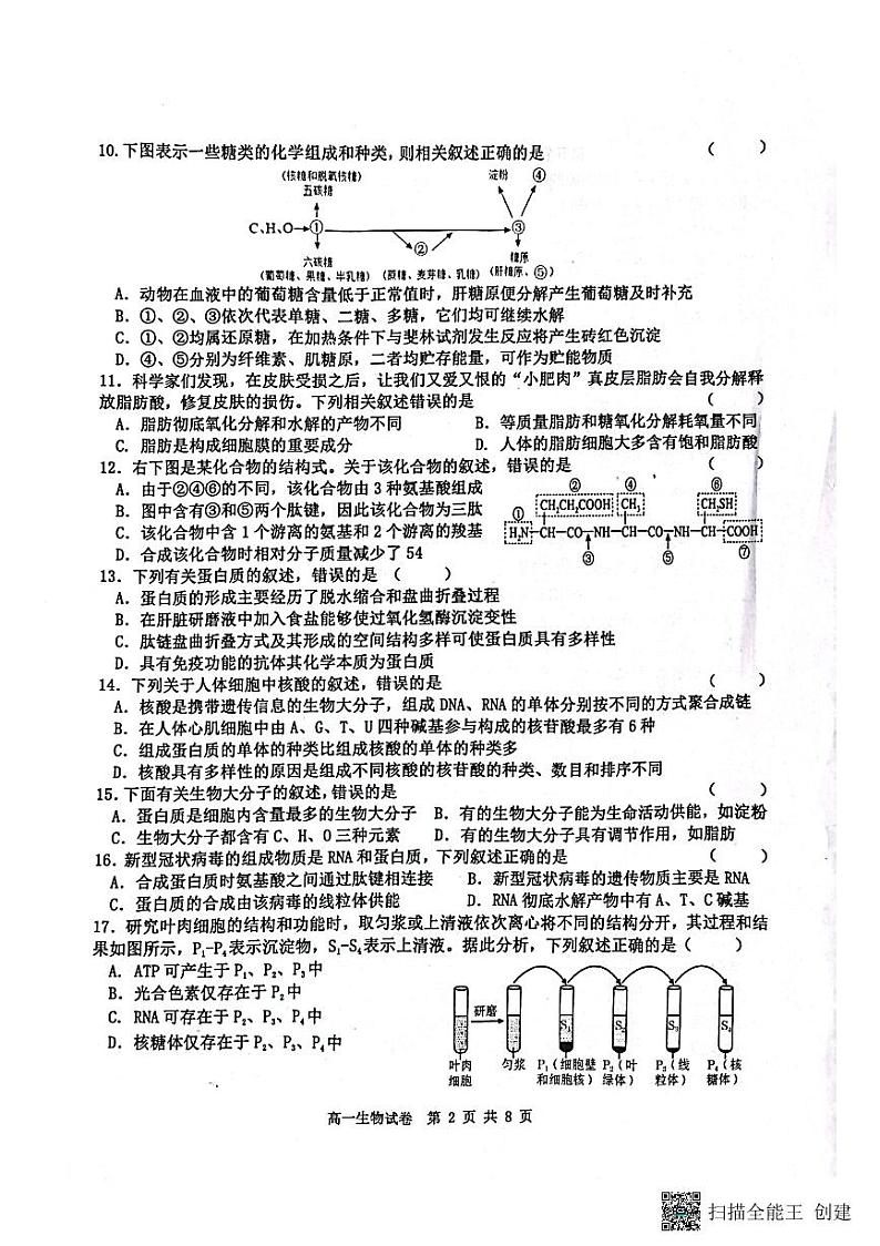 2023省齐齐哈尔地区学校联考高一生物试题PDF版含答案02