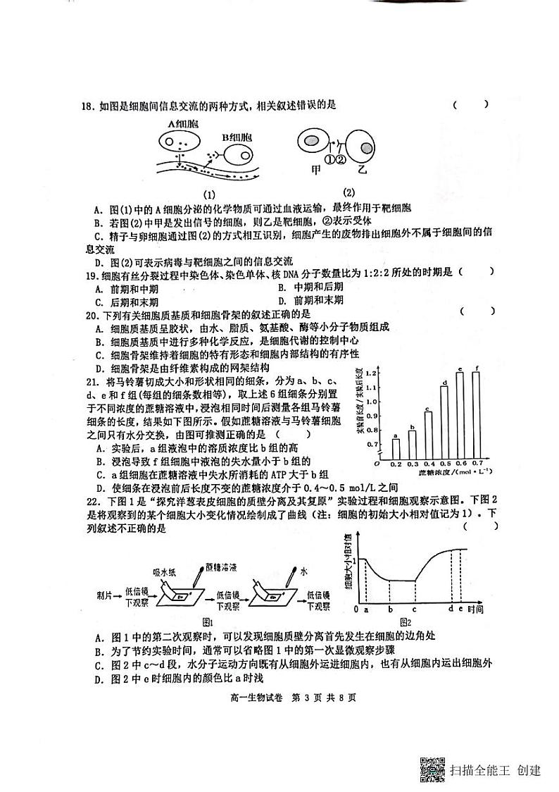 2023省齐齐哈尔地区学校联考高一生物试题PDF版含答案03