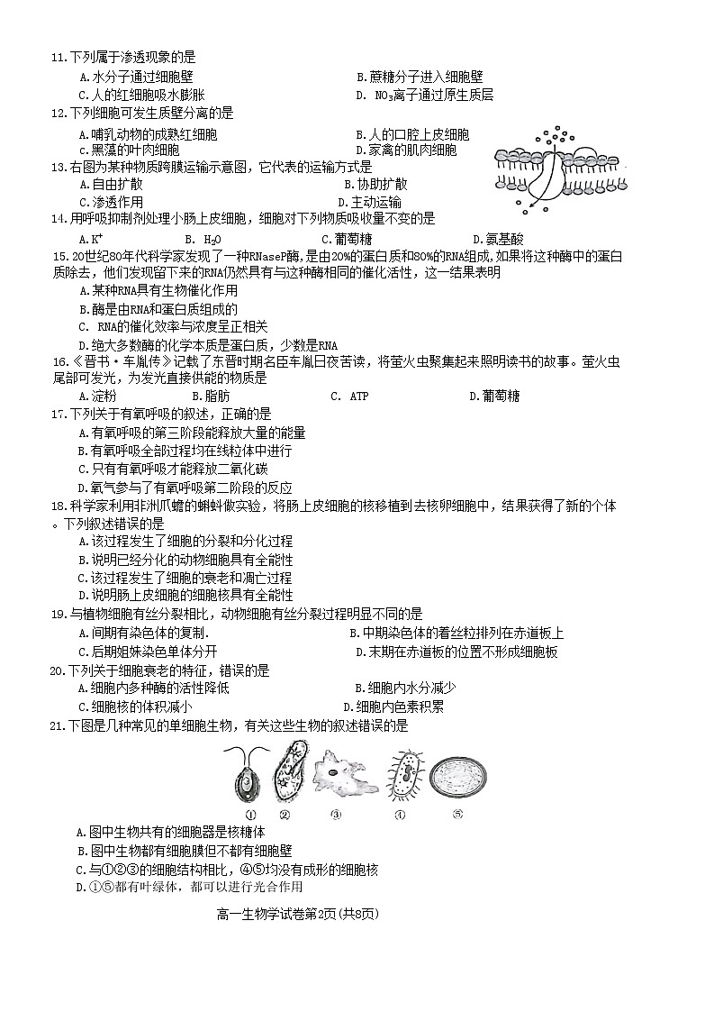 2023唐山高一上学期期末生物试题含答案02