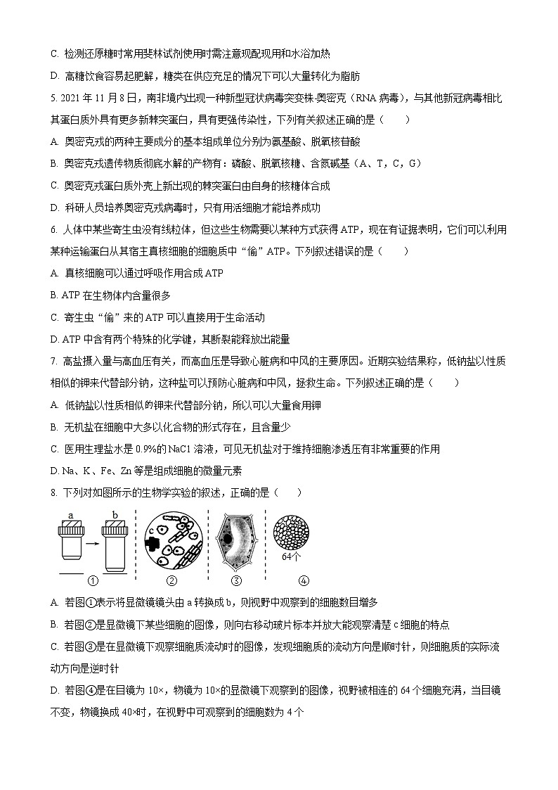 2023重庆市西南大学附中高一上期期末考试生物含解析02
