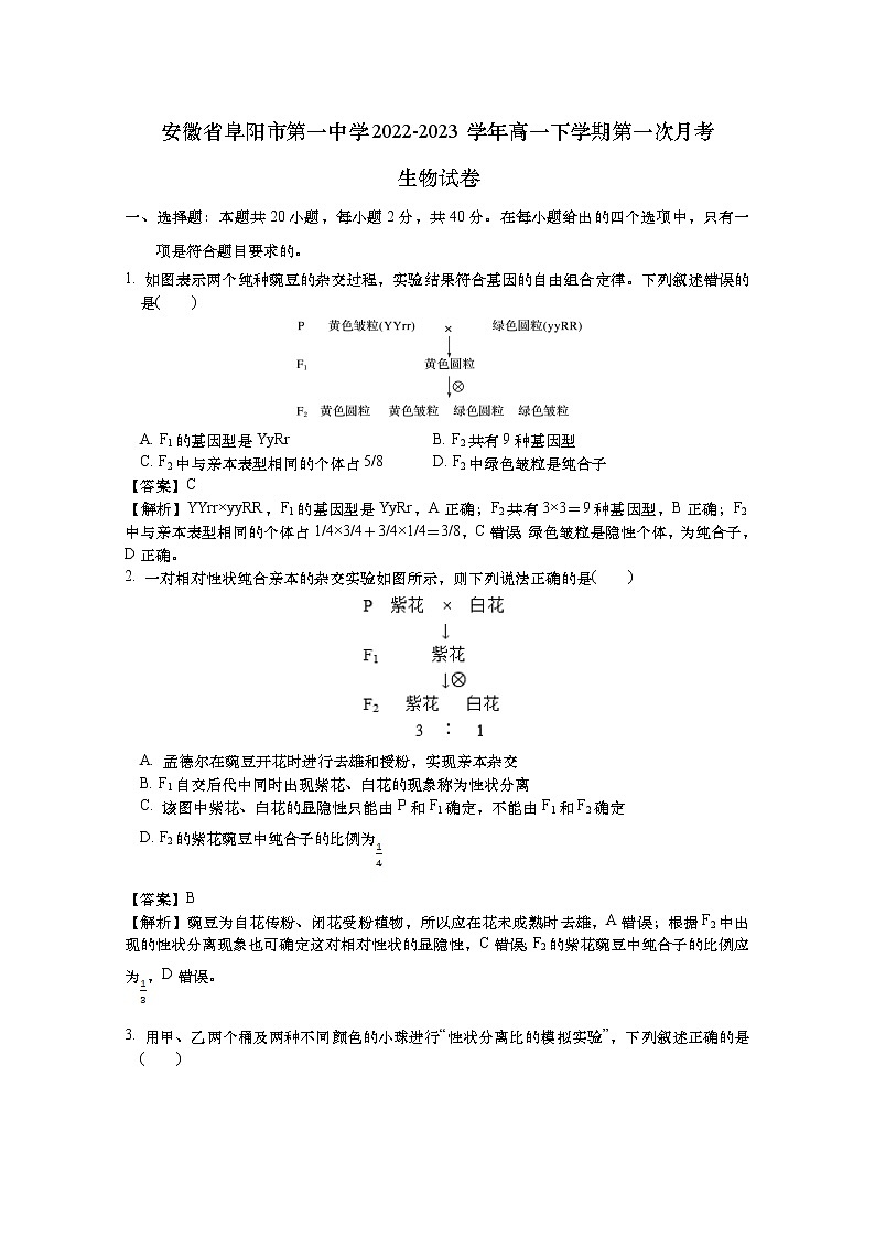 安徽省阜阳市第一中学2022-2023学年高一生物下学期第一次月考试卷（Word版附解析）第1页