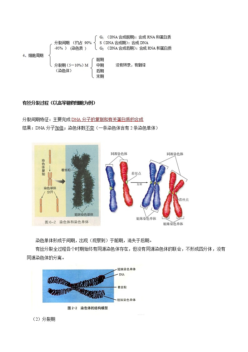 高中生物专题06 细胞的生命历程-2021年高考生物一轮复习知识点梳理与归纳第3页