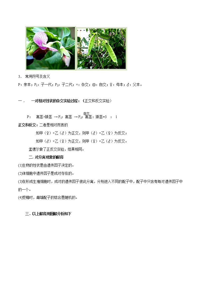 高中生物专题07 遗传因子的发现-2021年高考生物一轮复习知识点梳理与归纳第2页