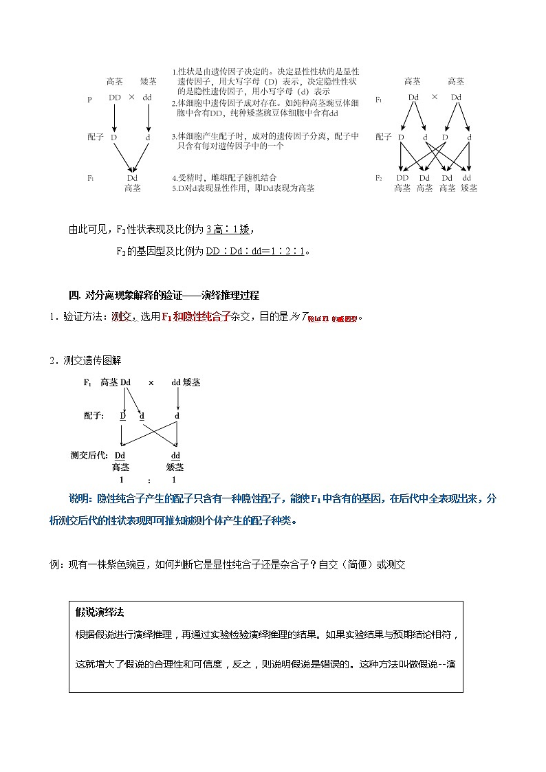 高中生物专题07 遗传因子的发现-2021年高考生物一轮复习知识点梳理与归纳第3页