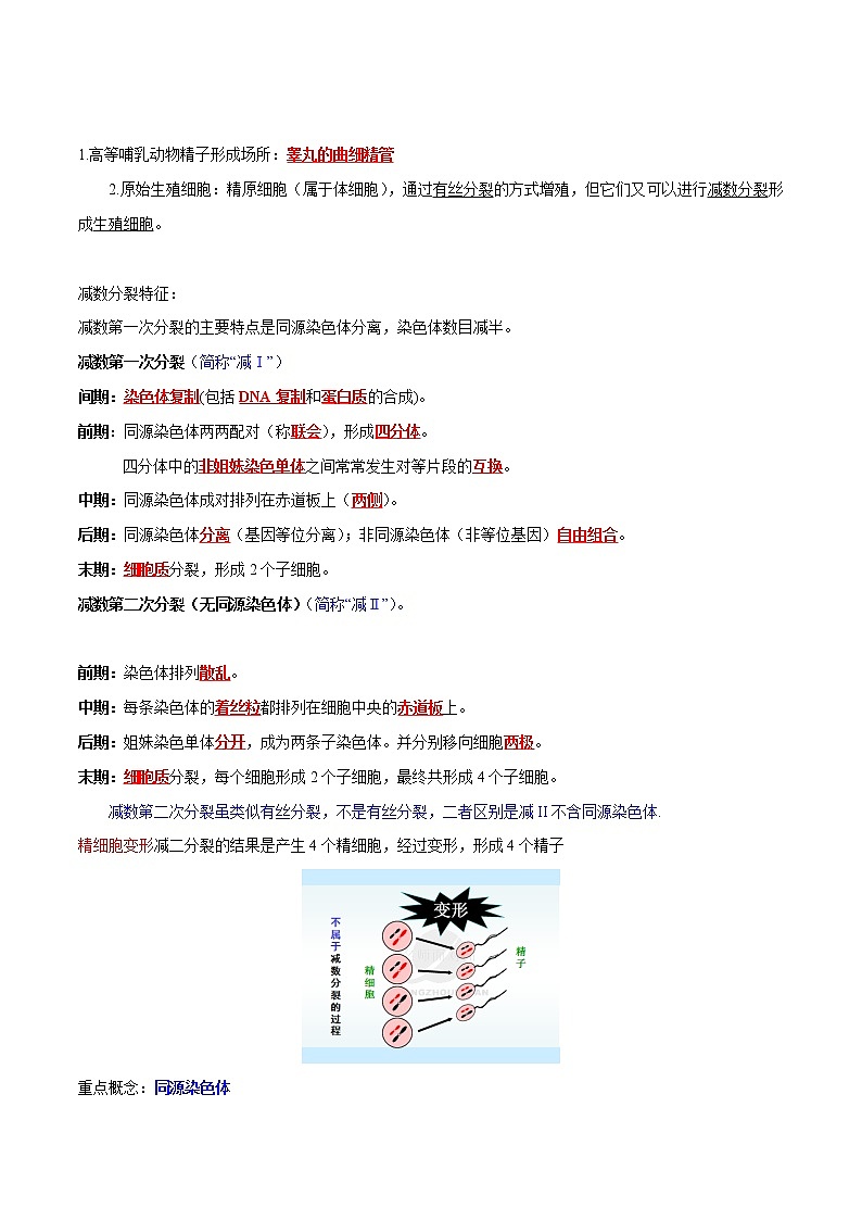 高中生物专题08 基因和染色体的关系-2021年高考生物一轮复习知识点梳理与归纳第2页