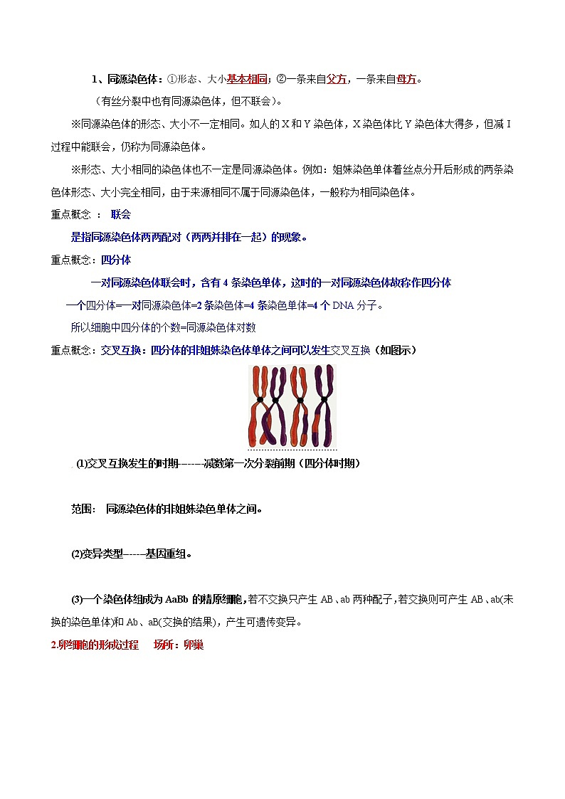 高中生物专题08 基因和染色体的关系-2021年高考生物一轮复习知识点梳理与归纳第3页