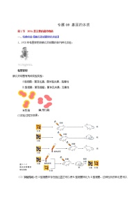 高中生物专题09 基因的本质-2021年高考生物一轮复习知识点梳理与归纳