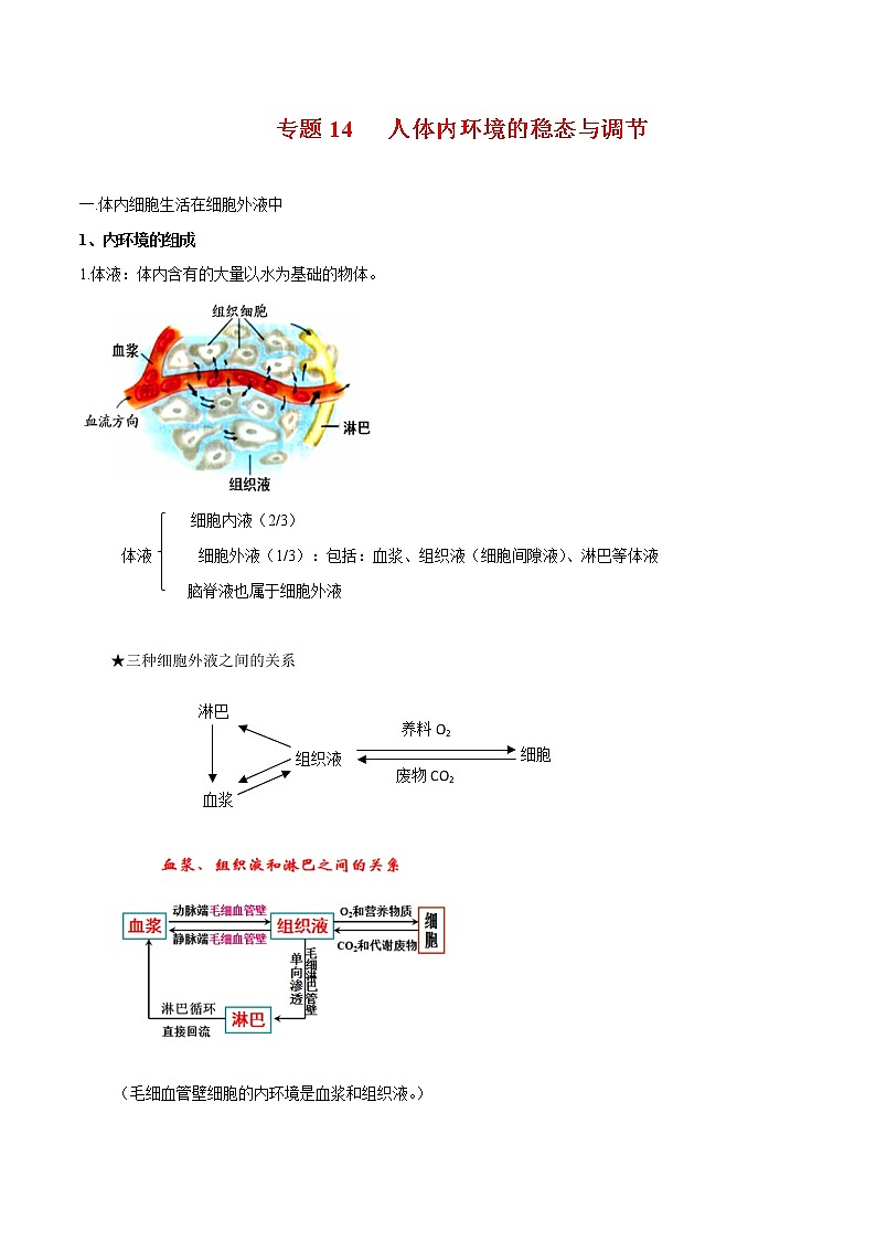 高中生物专题14 人体的内环境与稳态-2021年高考生物一轮复习知识点梳理与归纳第1页
