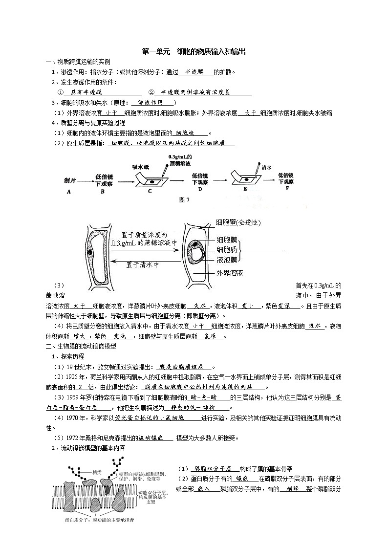 高中生物专题2 细胞的代谢-【复习宝典】2021年高考生物必修知识点归纳（背记版）第1页