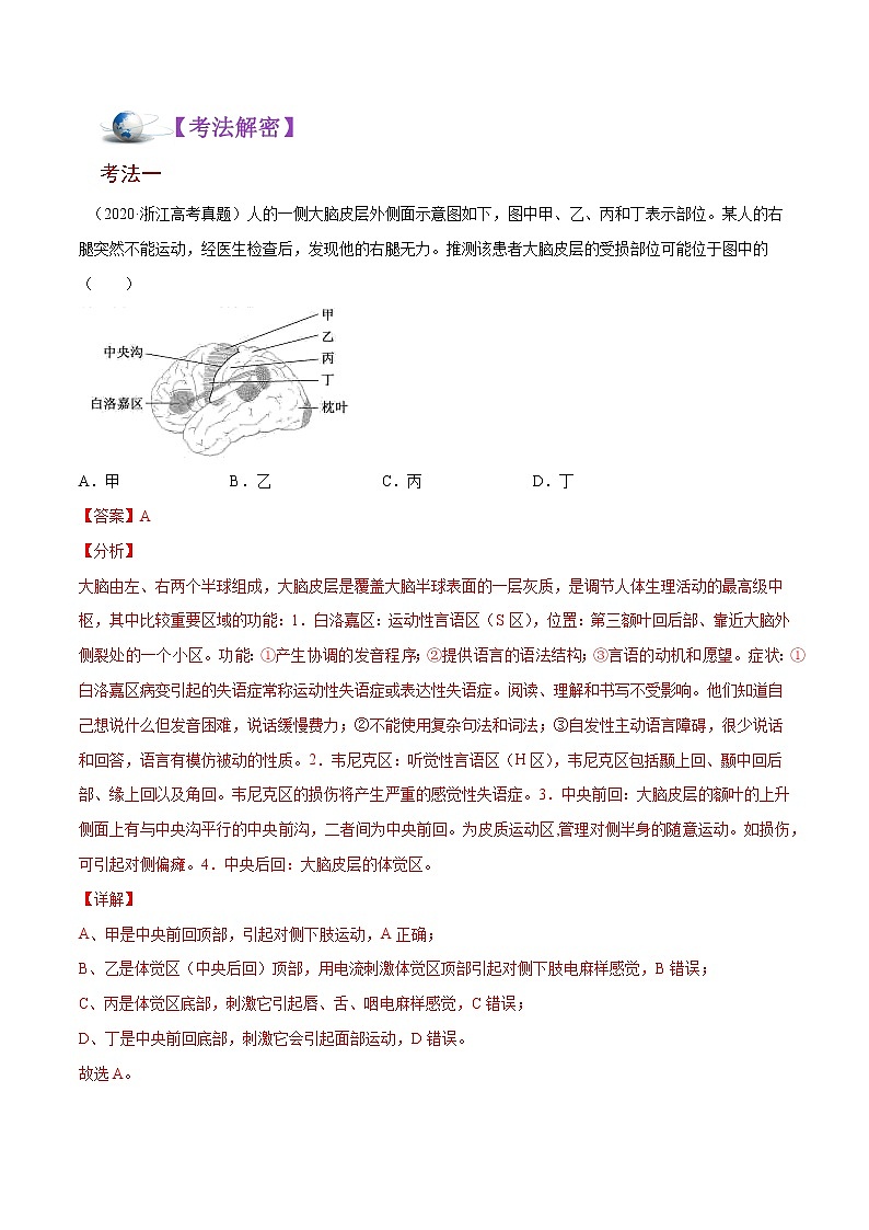 高中生物解密16 神经调节（讲义）-【高频考点解密】2021年高考生物二轮复习讲义+分层训练第3页