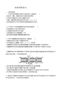 高中生物仿真训练卷02-2021届高三生物二轮复习新高考版（含解析）