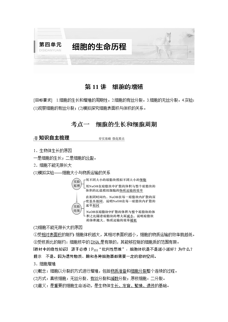 高中生物2022年高考生物一轮复习 第4单元 第11讲　细胞的增殖第1页