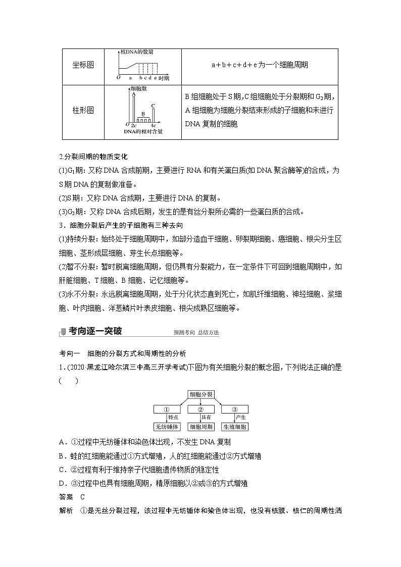 高中生物2022年高考生物一轮复习 第4单元 第11讲　细胞的增殖第3页