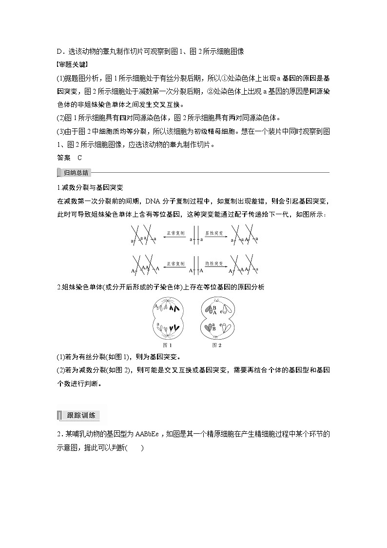 高中生物2022年高考生物一轮复习 第4单元 第12讲　热点题型二　减数分裂与可遗传变异的关系分析03
