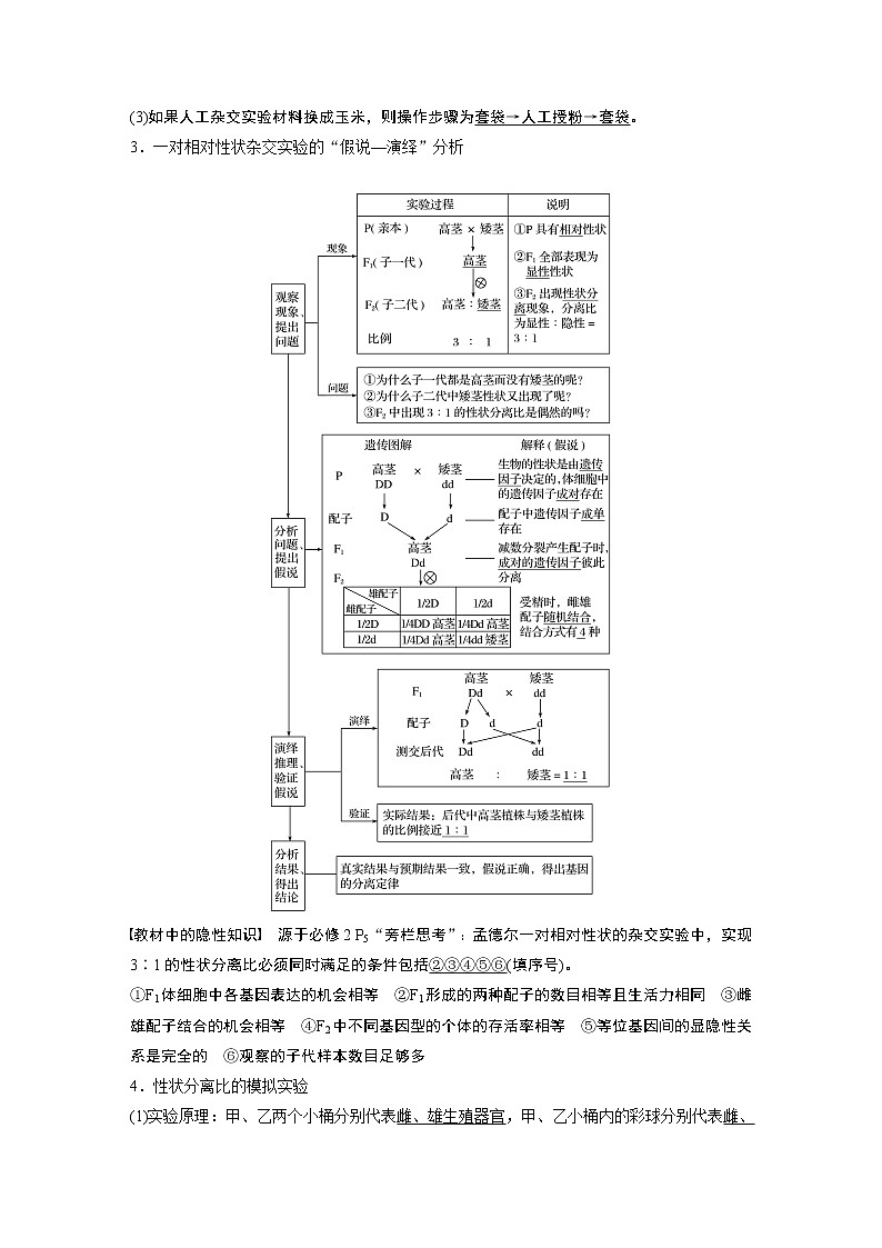 高中生物2022年高考生物一轮复习 第5单元 第14讲　基因的分离定律第2页