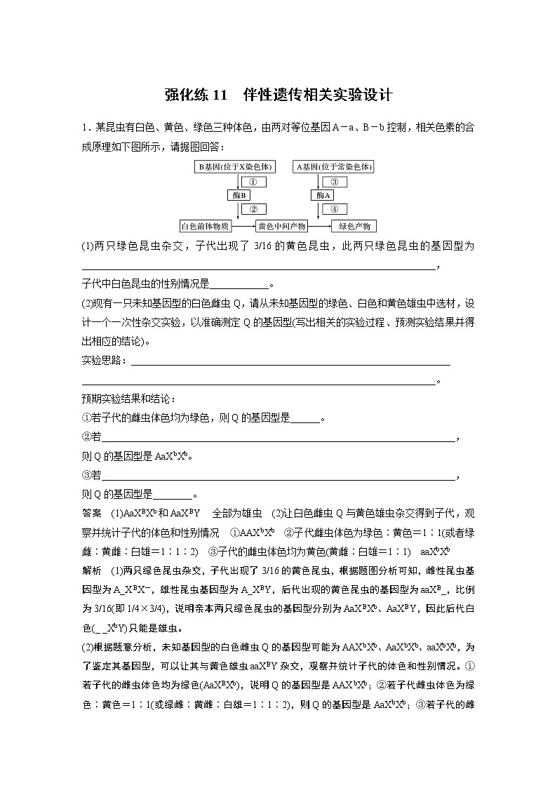 高中生物2022年高考生物一轮复习 第5单元 强化练11　伴性遗传相关实验设计第1页