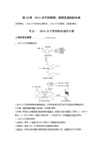 高中生物2022年高考生物一轮复习 第6单元 第18讲　DNA分子的结构、复制及基因的本质