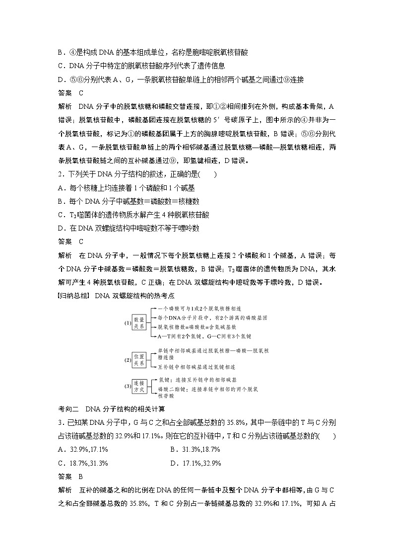 高中生物2022年高考生物一轮复习 第6单元 第18讲　DNA分子的结构、复制及基因的本质第3页