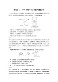 高中生物2022年高考生物一轮复习 第6单元 强化练12　DNA复制和表达的相关图像分析