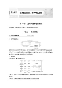 高中生物2022年高考生物一轮复习 第7单元 第20讲　基因突变和基因重组