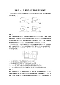 高中生物2022年高考生物一轮复习 第8单元 强化练16　兴奋传导与传递的相关实验探究